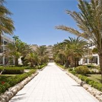 festival shedwan golden beach resort