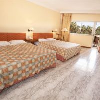 festival shedwan golden beach resort