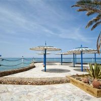 festival shedwan golden beach resort