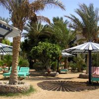 sea view  hotel