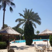 club turtas beach hotel