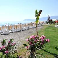 deha hotel