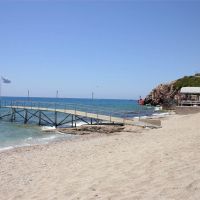 club tropical beach