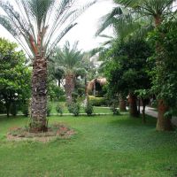 elysee garden family hotel
