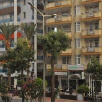 lonicera city hotel