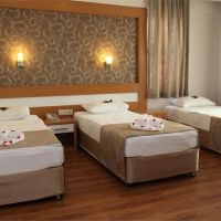 lonicera city hotel
