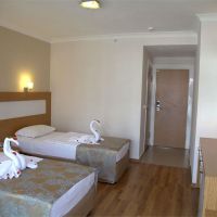 lonicera city hotel