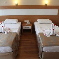 lonicera city hotel
