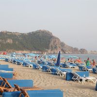 lonicera city hotel
