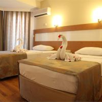 lonicera city hotel