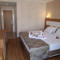 lonicera city hotel