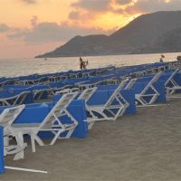 lonicera city hotel