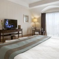 amara premier palace