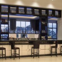 amara premier palace