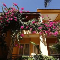 seker resort hotel