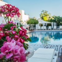 costa maya bodrum