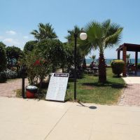 area hotel