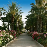 adora golf resort hotel