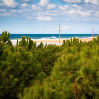 dacha beach