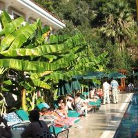 perdikia beach hotel
