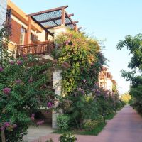 sunis kumkoy beach resort & spa
