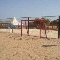 domina coral bay harem