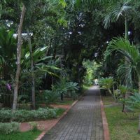 pattaya garden