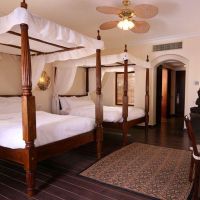 domina coral bay harem