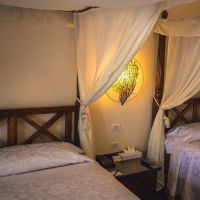 domina coral bay harem