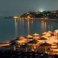 domina coral bay harem