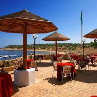 domina coral bay harem
