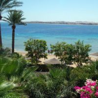 fort arabesque resort