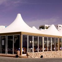 domina coral bay harem