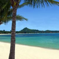 thai house beach resort
