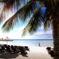 dara samui beach resort spa & villa