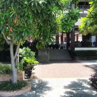 rose bay resort