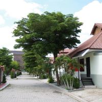 nice resort pattaya