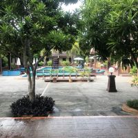 rose bay resort