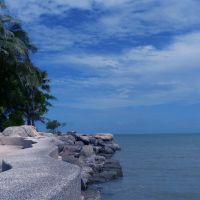 garden sea view