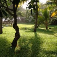 hibiscus beach hotel