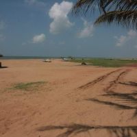 paradise beach hotel