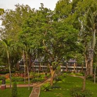 woodlands hotel