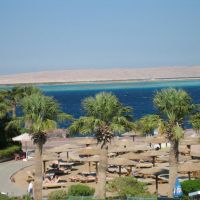 sea shell hotel