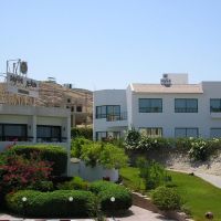 sea shell hotel