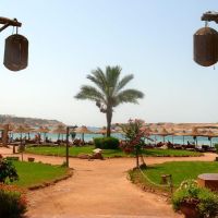 regency lodge hotel