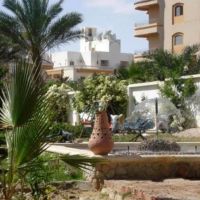 pharaoh club hotel