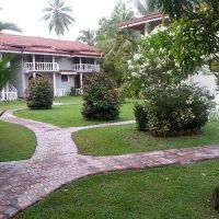 bougain villa guest