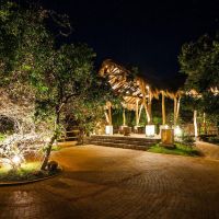jungle beach resort