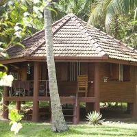 palm paradise cabanas
