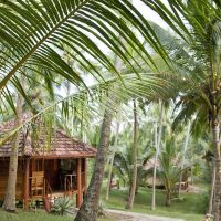 palm paradise cabanas